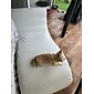 stretch fluwelen chaise longue hoes stoel hoes elastisch zwart voor slaapkamer woonkamer zacht duurzaam wasbaar