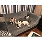repskyddande kattsoffa filt sofföverdrag, mjuka luddiga sängkläder filtar, möbelskydd från sällskapsdjur, premium fluffiga filtar plysch fleece kast hund säng