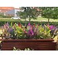 5 stk kunstige lavendelblomster boligdekoration udendørs simulering blomster planter dekorationer blomster buket bryllup dekoration