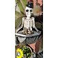 20 sztuk mini czaszki, halloween mała głowa szkieletu doniczka wystrój realistyczne czaszki rzemiosło dekoracje ogrodowe bonsai ozdoby na dziedzińcu