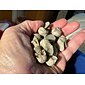 20 sztuk mini czaszki, halloween mała głowa szkieletu doniczka wystrój realistyczne czaszki rzemiosło dekoracje ogrodowe bonsai ozdoby na dziedzińcu