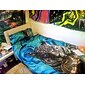 Halloween Schädel Skelett Schwarzlicht Wandteppich UV-Reaktiv Trippy Nebeliger Pilz Hängender Wandteppich Wandkunst Wandmalerei für Wohnzimmer Schlafzimmer Dekorationen