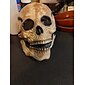 halloween helhuvudskallemask, hjälm med rörlig käke, skrämmande realistisk halloweenmask för vuxna kostymer, call of duty maskleksak, halloween skelettdekoration