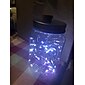 1/2/6/10st led wijnfles lichtsnoer 2m 20leds met kurk warm wit wit multi kleur rood blauw waterdicht lichtsnoer kerst bruiloft decoratie batterijen